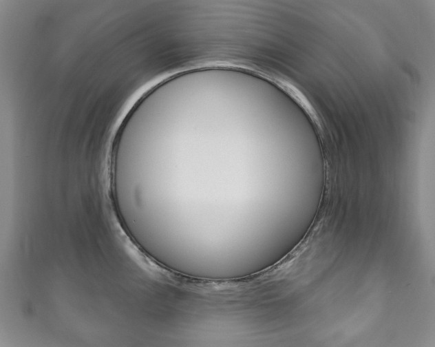 X0000111241148200907020953
