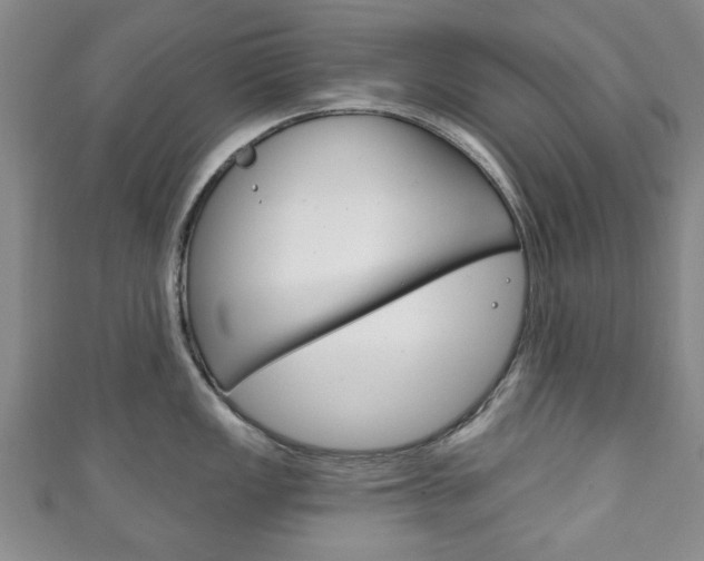 X0000111241149200907020953
