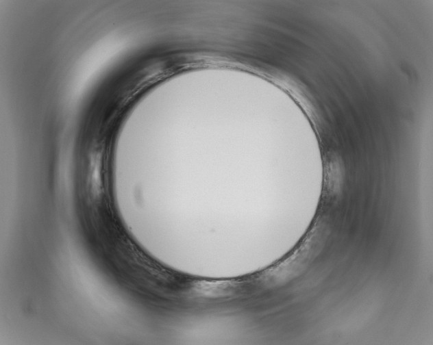 X0000111241150200907020953