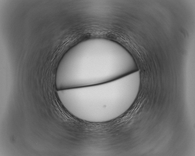 X0000111241153200907020952