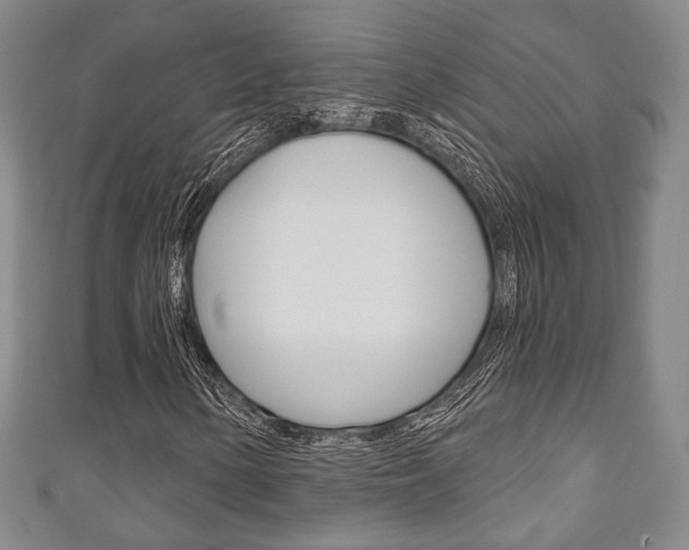 X0000111241154200907020952