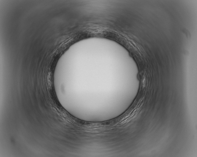 X0000111241156200907020952