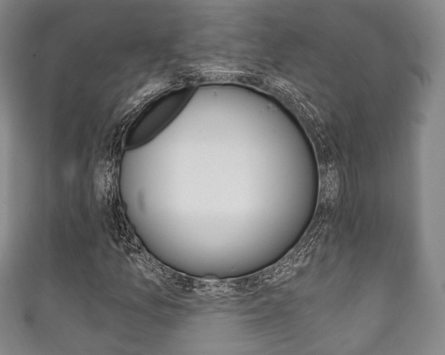 X0000111241157200907020952