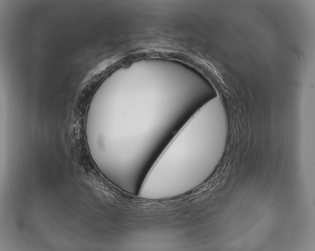X0000111241159200907020952