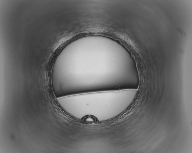 X0000111241160200907020952
