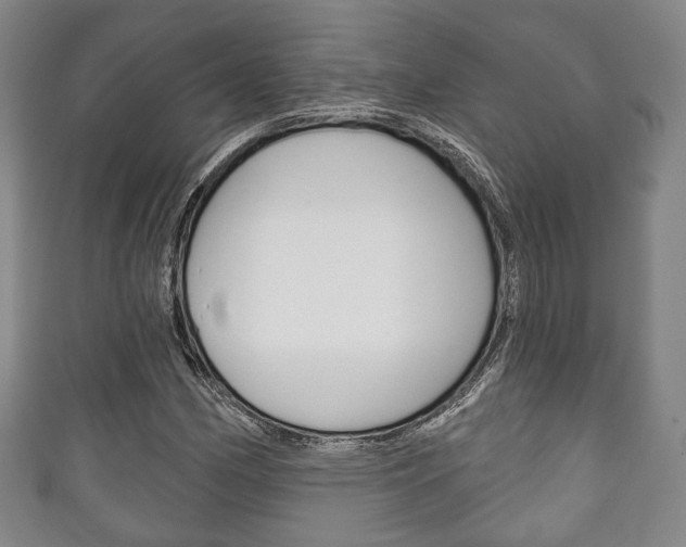 X0000111241162200907020952