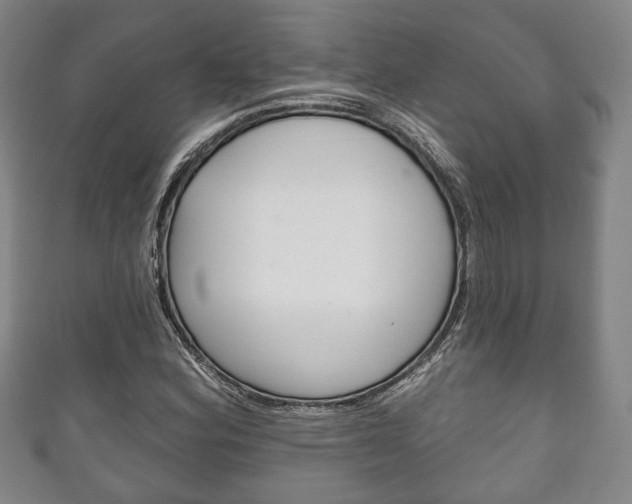 X0000111241164200907020952