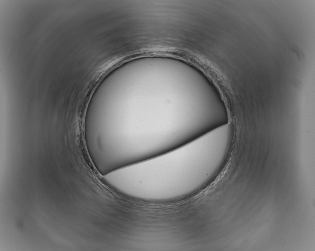 X0000111241169200907020952