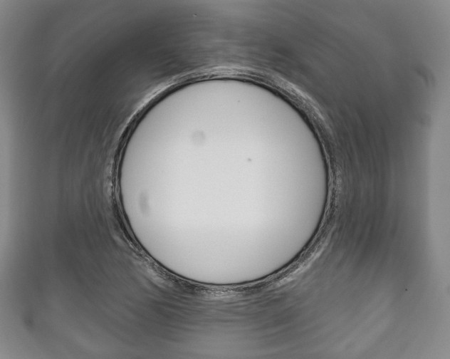 X0000111241170200907020952