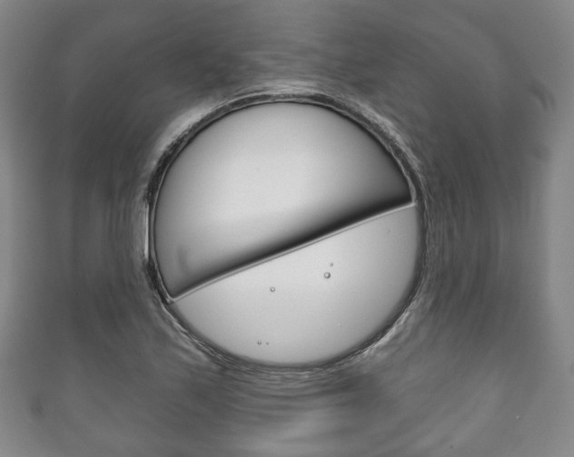 X0000111241171200907020952