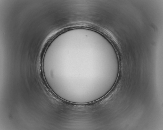 X0000111241172200907020952