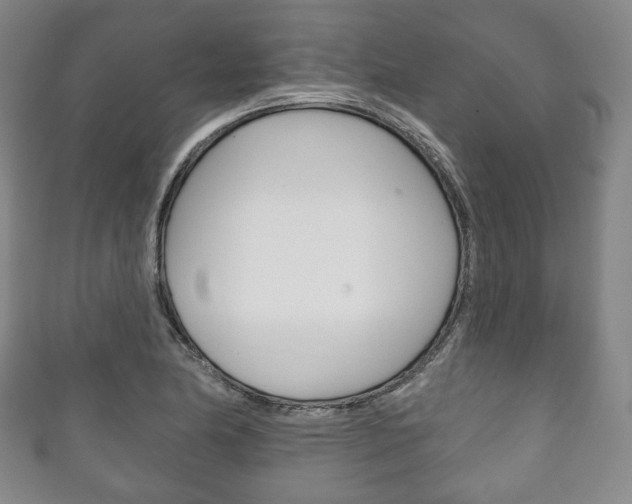 X0000111241174200907020952