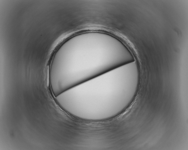 X0000111241175200907020952