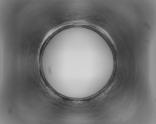 X0000111241176200907020952