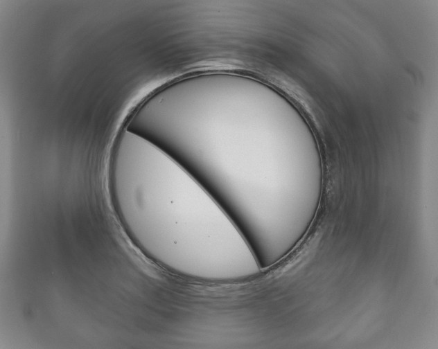 X0000111241179200907020952