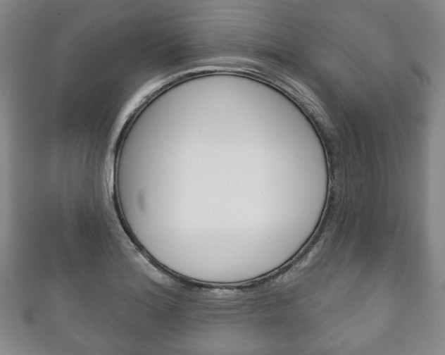 X0000111241180200907020952