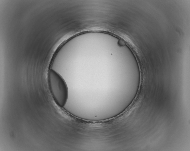 X0000111241181200907020952