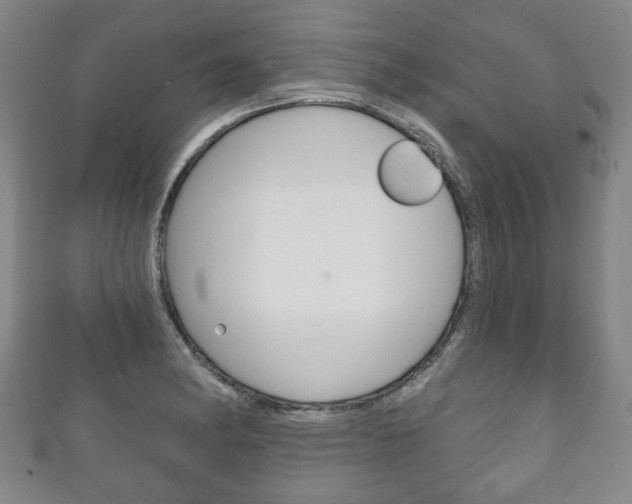 X0000111241182200907020952