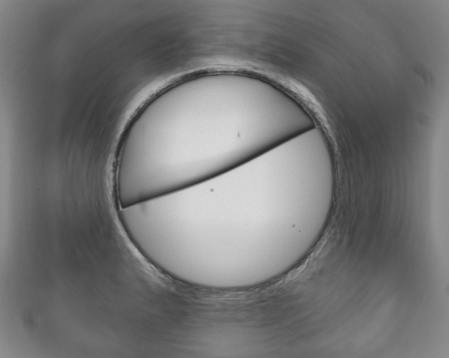 X0000111241183200907020952