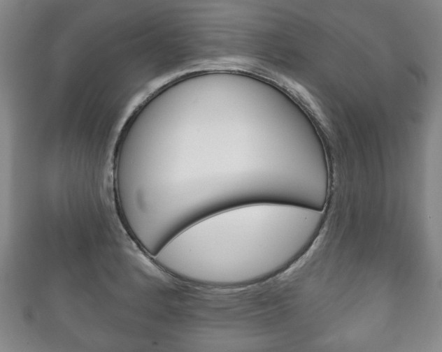 X0000111241184200907020952