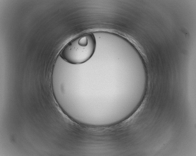 X0000111241185200907020952