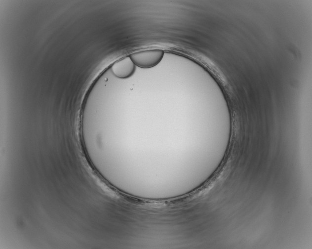X0000111241186200907020952