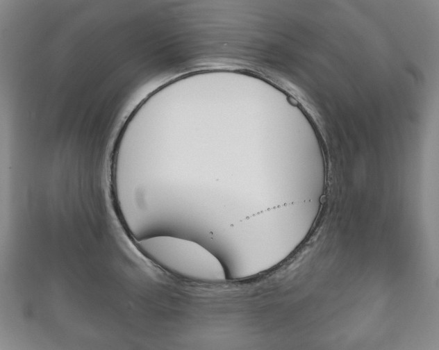 X0000111241187200907020952