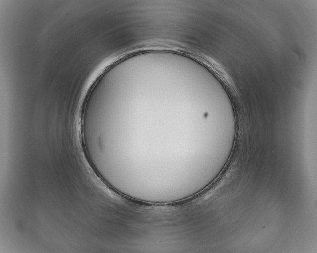 X0000111241188200907020952