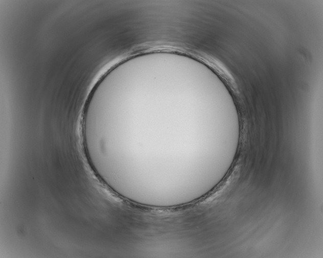 X0000111241190200907020952