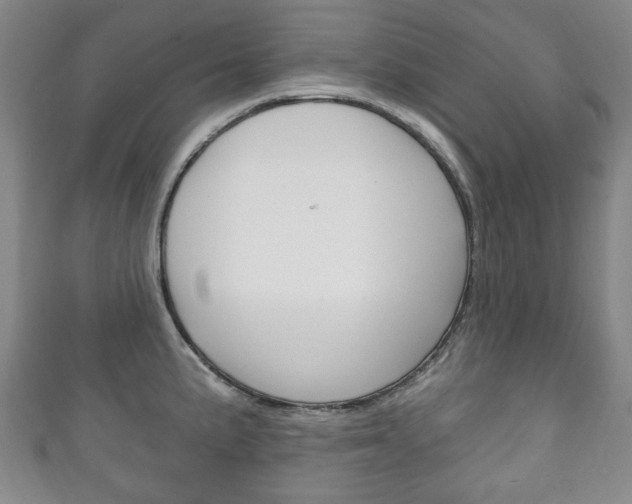 X0000111241191200907020952