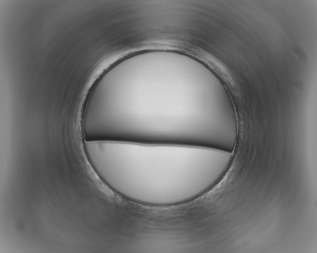 X0000111241192200907020952