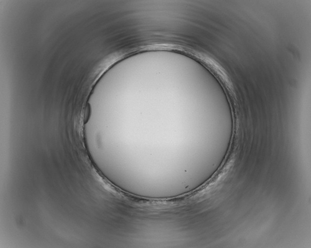 X0000111241193200907020952