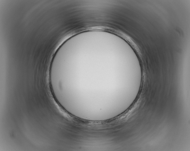 X0000111241194200907020952