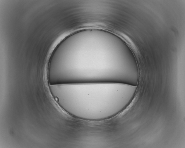 X0000111241196200907020952