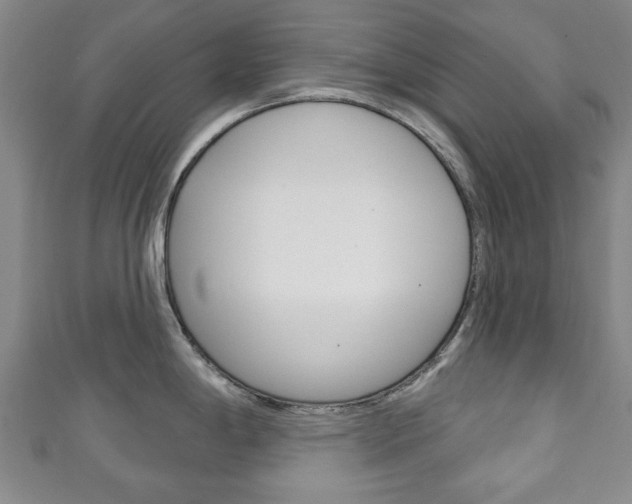 X0000111241198200907020952