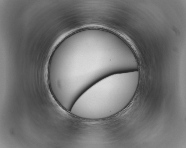 X0000111241199200907020952