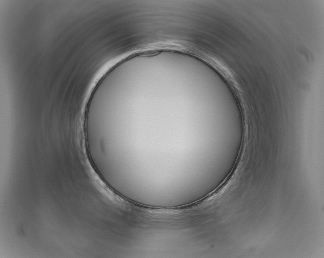 X0000111241200200907020952