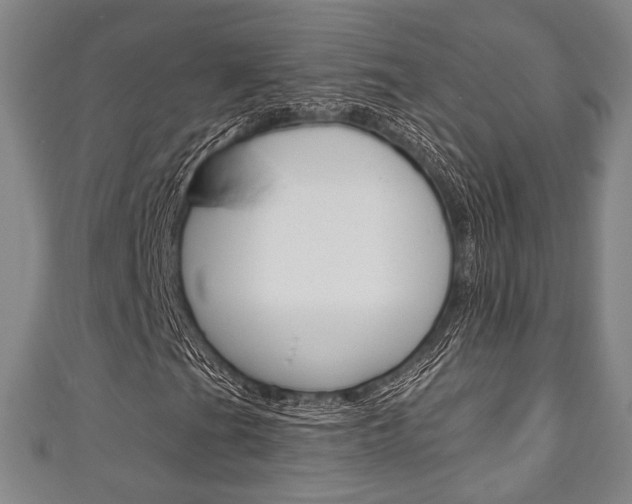 X0000111241201200907020951