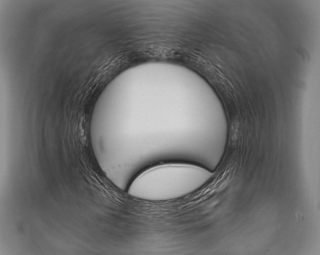 X0000111241202200907020951