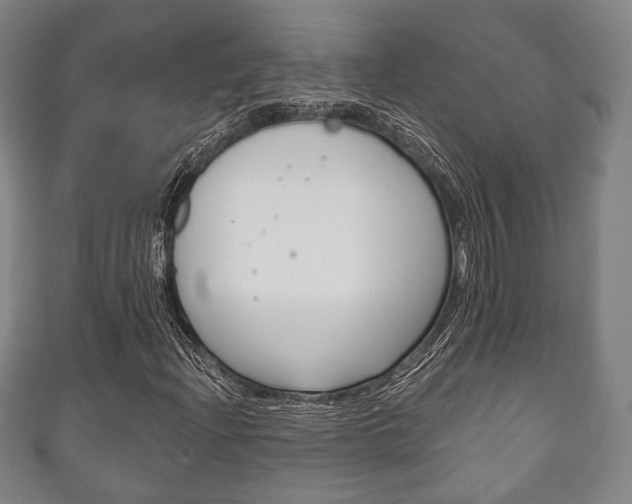 X0000111241204200907020951