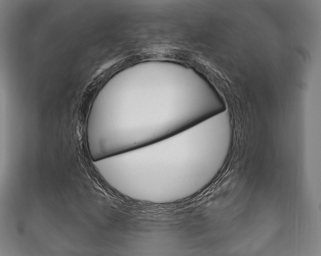 X0000111241206200907020951