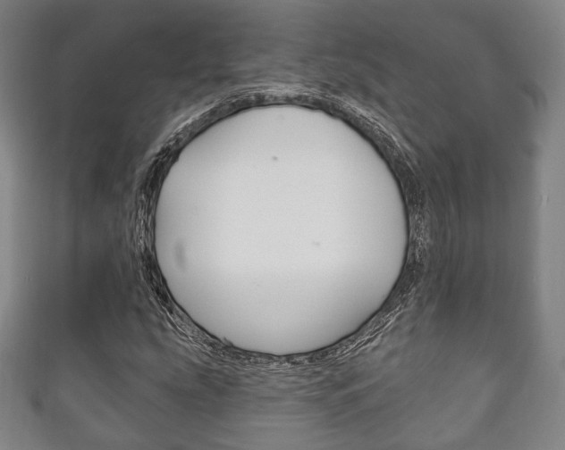 X0000111241207200907020951