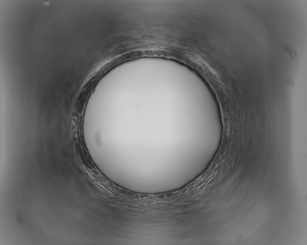 X0000111241208200907020951