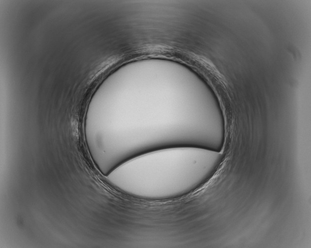 X0000111241209200907020951