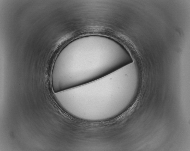 X0000111241210200907020951