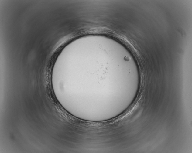 X0000111241211200907020951