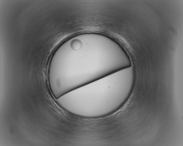X0000111241212200907020951