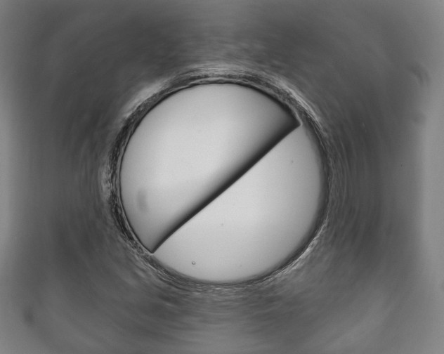 X0000111241213200907020951