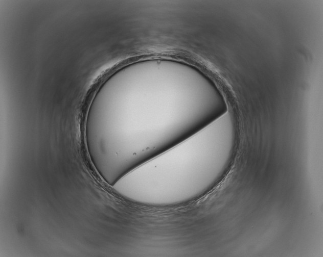X0000111241214200907020951