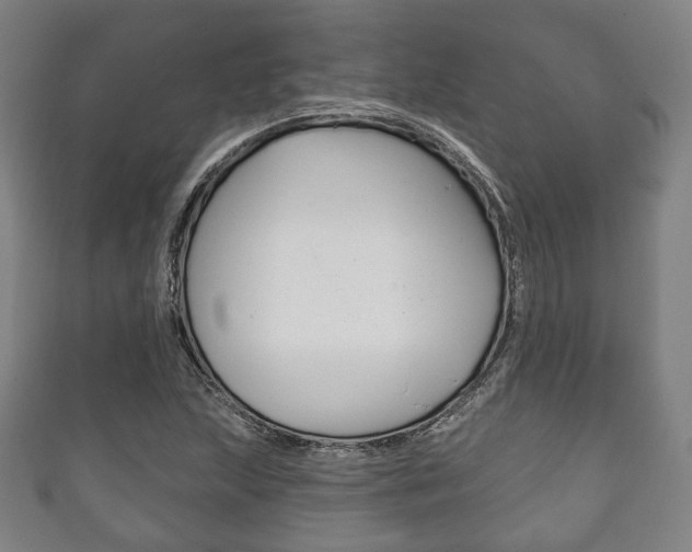 X0000111241215200907020951
